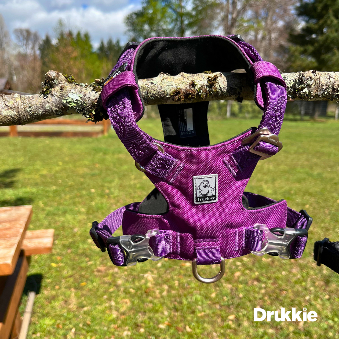 ¡Pack Purple! Arnés Anti tirones Impermeable + Correa Elástica