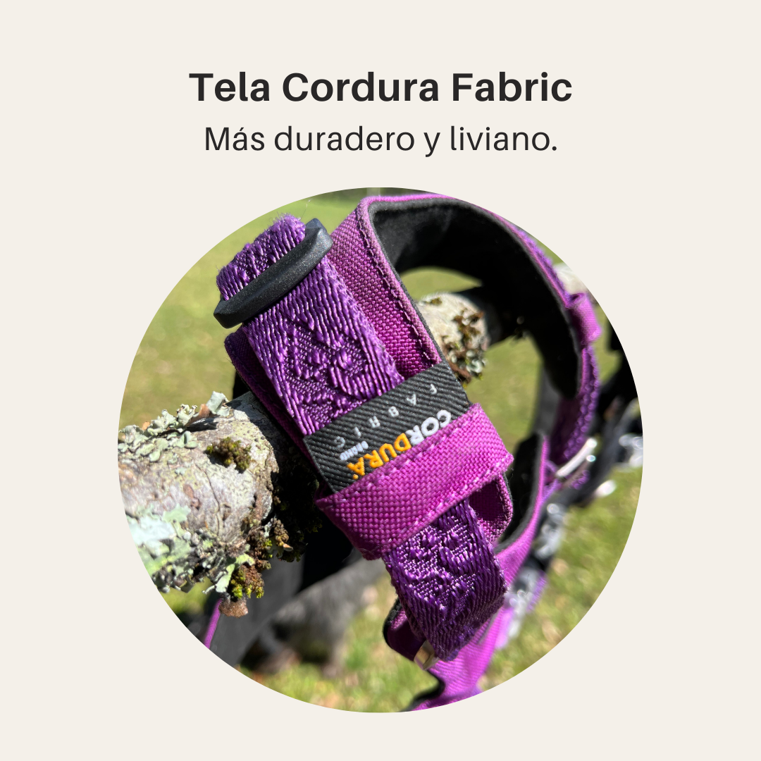 ¡Pack Purple! Arnés Anti tirones Impermeable + Correa Elástica