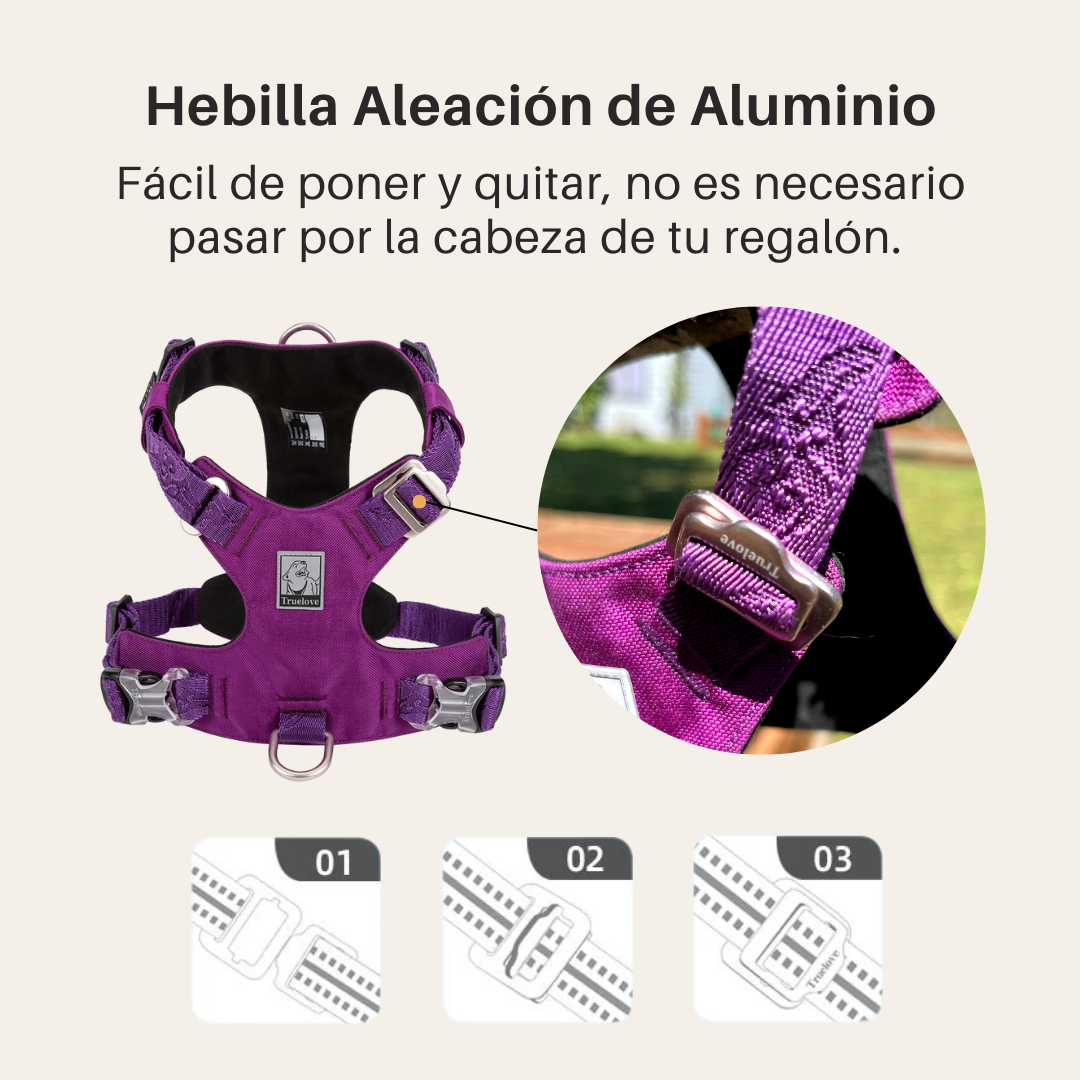¡Pack Purple! Arnés Anti tirones Impermeable + Correa Elástica