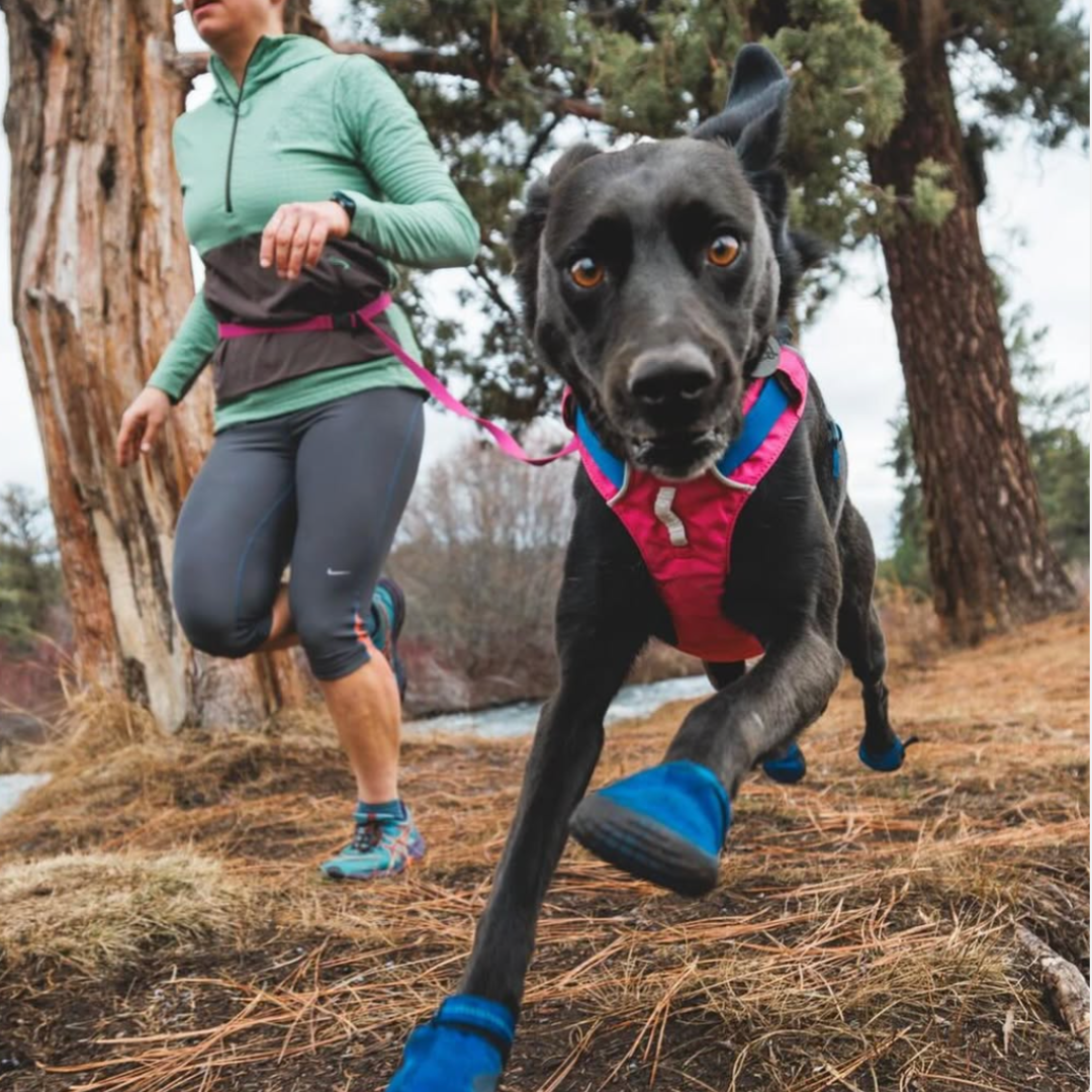 Ruffwear Hi & Light Arnés Alpenglow Pink
