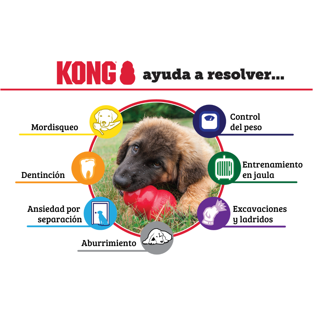 KONG Extreme