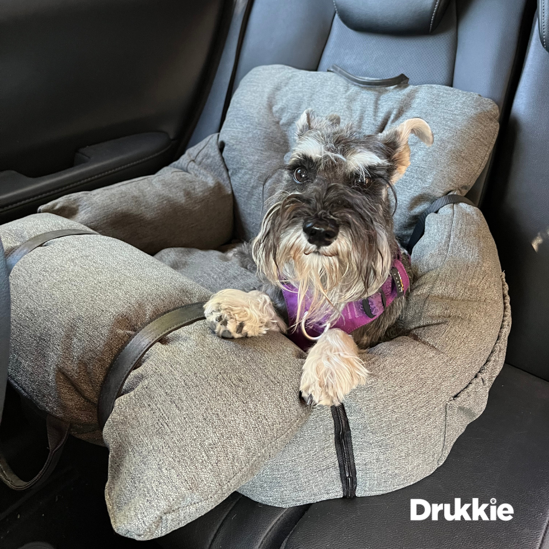 Asiento para autos 3 en 1 impermeable