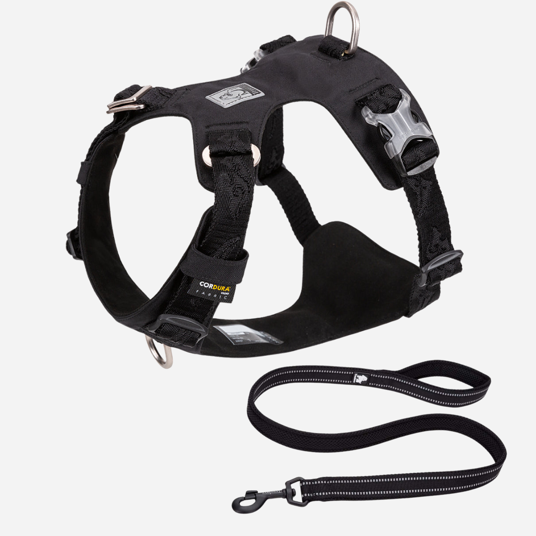 ¡Pack Black! Arnés Anti tirones Impermeable + Correa Reflectante