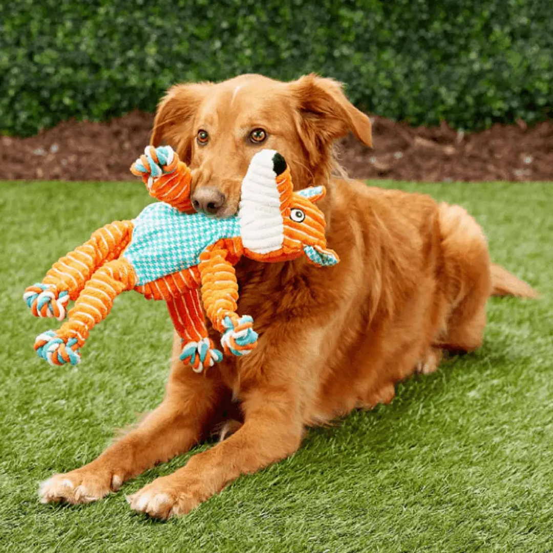 KONG Floppy Knots Fox
