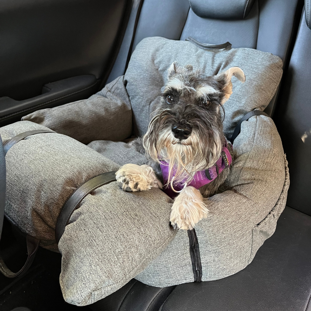 Cama para autos Pro