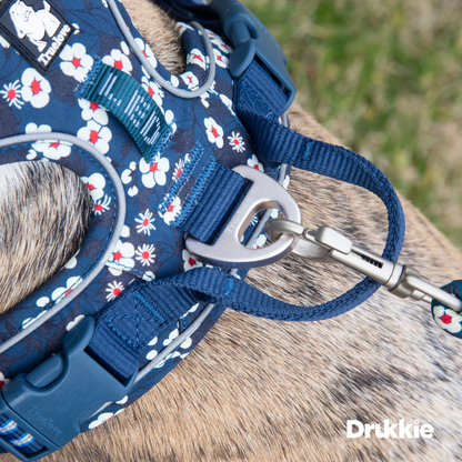 Arnés Anti tirones Floral Blue - Drukkie
