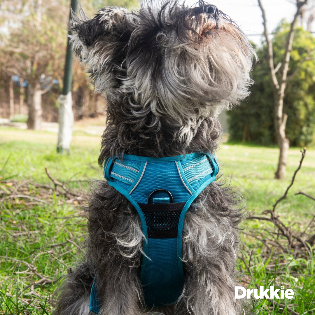 ¡Pack Azul! Arnés Anti tirones Reflectante + Correa