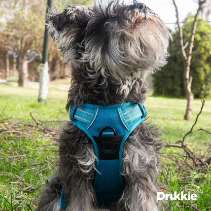 ¡Pack Azul! Arnés Anti tirones Reflectante + Correa