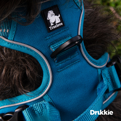 ¡Pack Azul! Arnés Anti tirones Reflectante + Correa