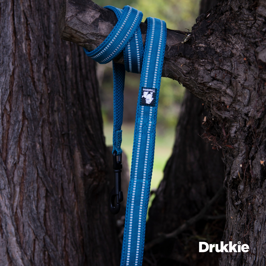 Correa Reflectante Azul - Drukkie