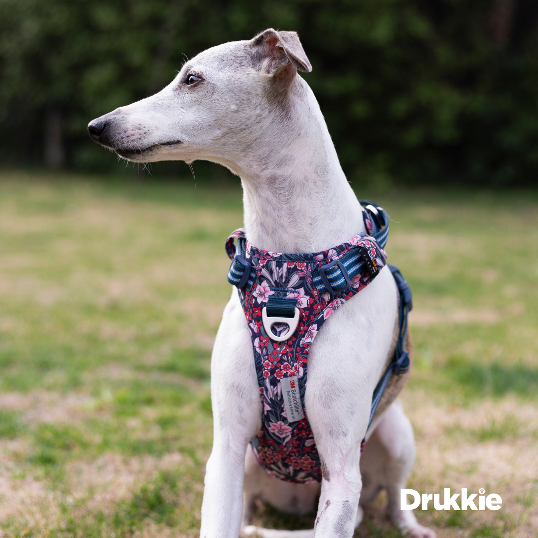 Arnés Anti tirones Floral Navy - Drukkie