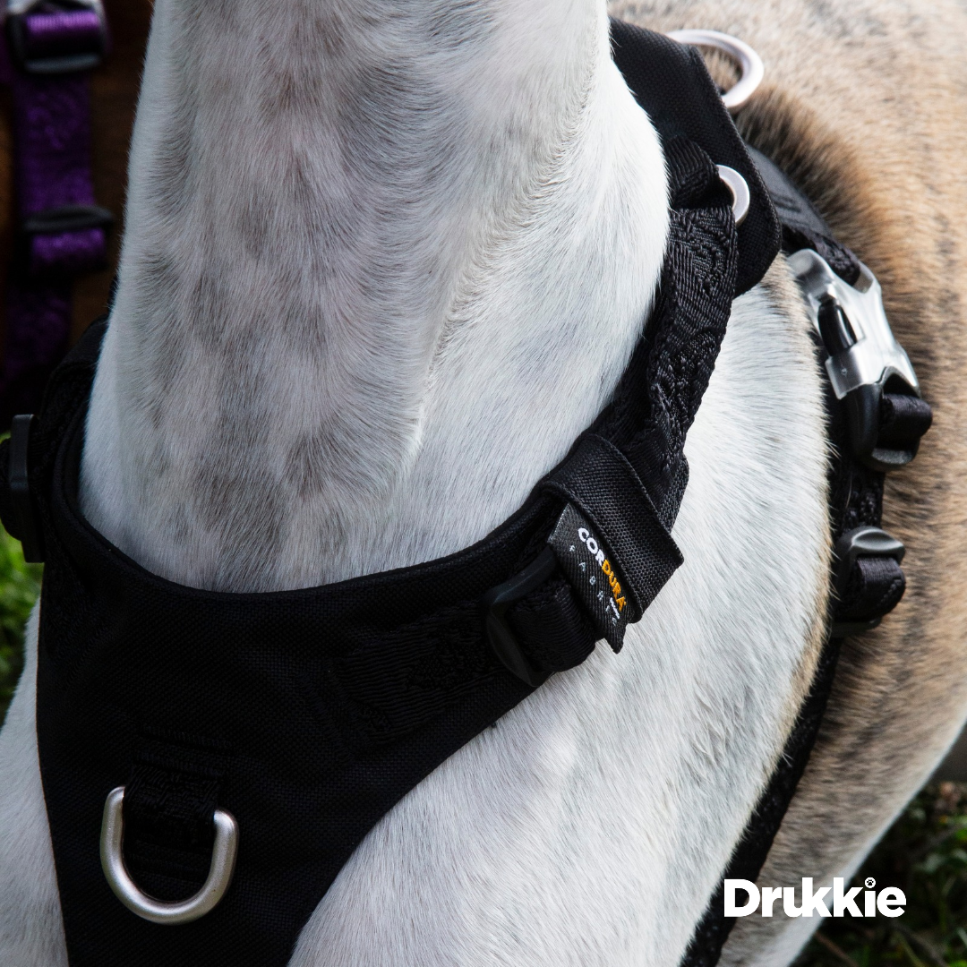 Arnés Anti tirones Impermeable Black - Drukkie
