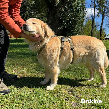 Arnés Anti Escape Army Green