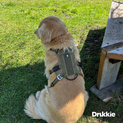 Arnés Anti Escape Army Green