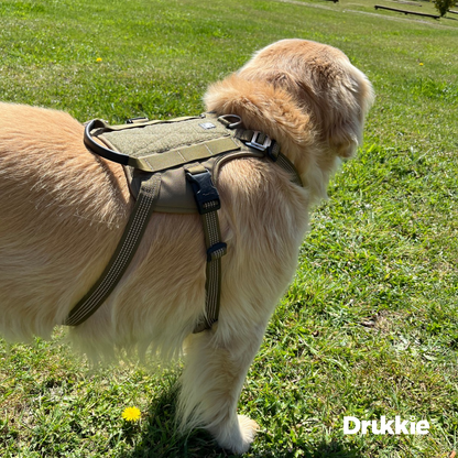 Arnés Anti Escape Army Green