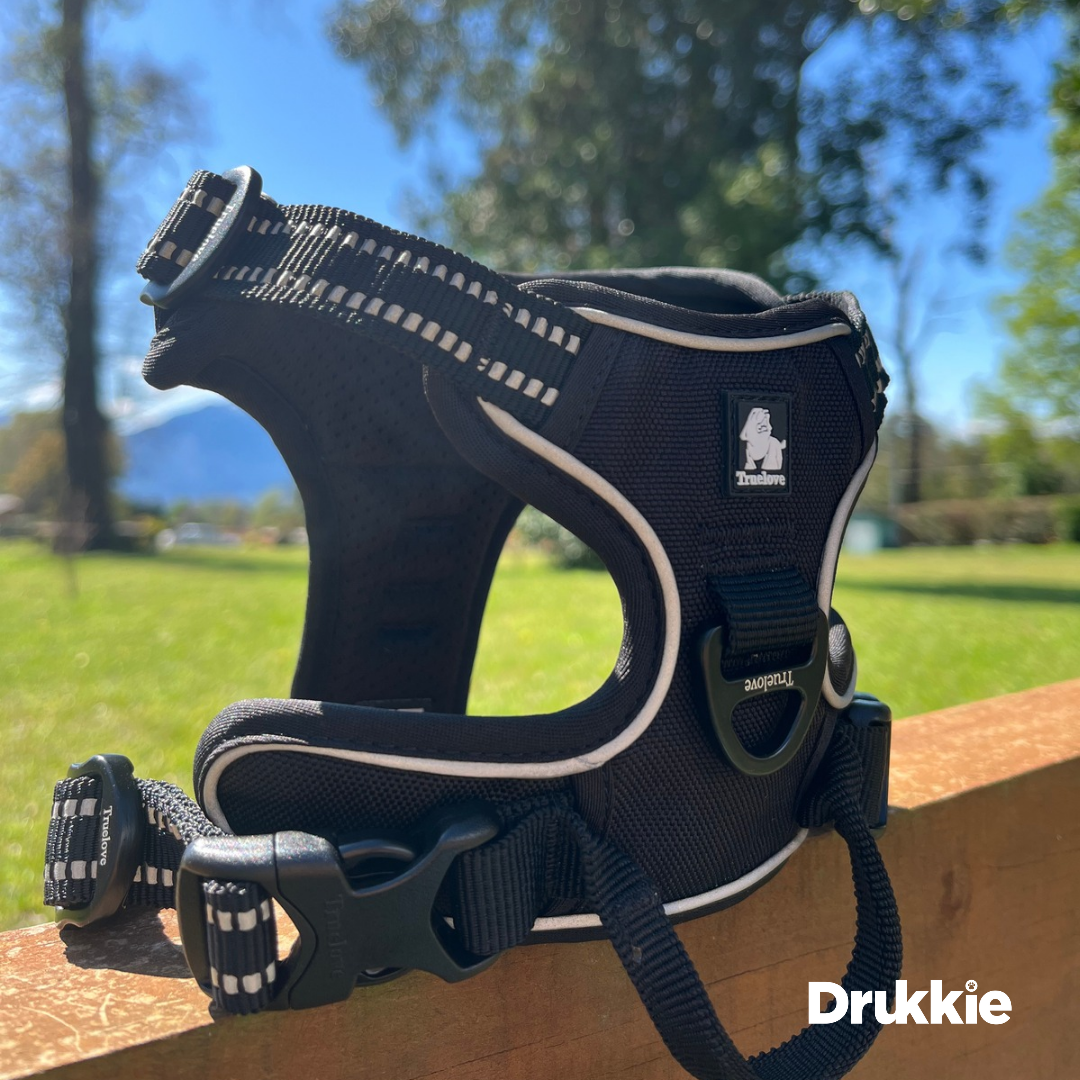 ¡Pack Negro! Arnés Anti tirones Reflectante + Correa