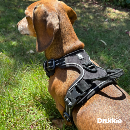 Arnés Anti tirones Reflectante Negro