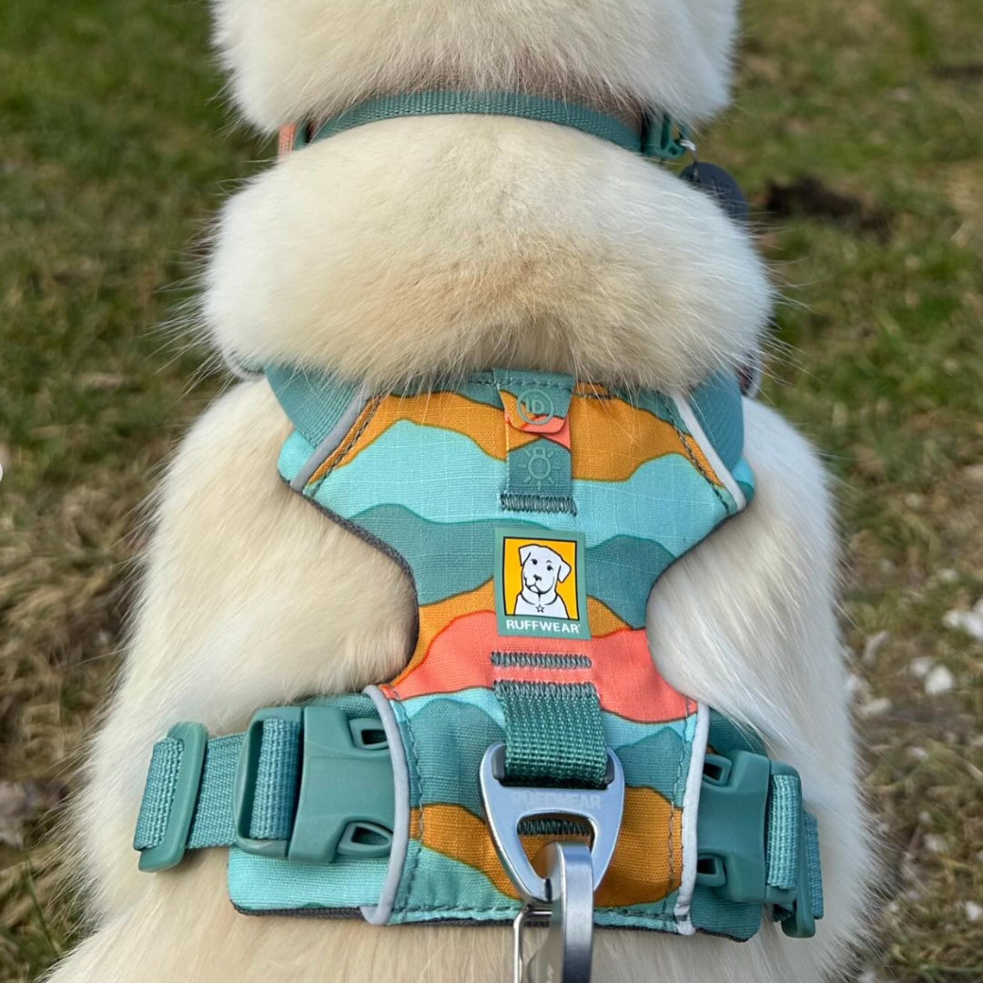 Ruffwear Front Range Arnés - Spring Mountains