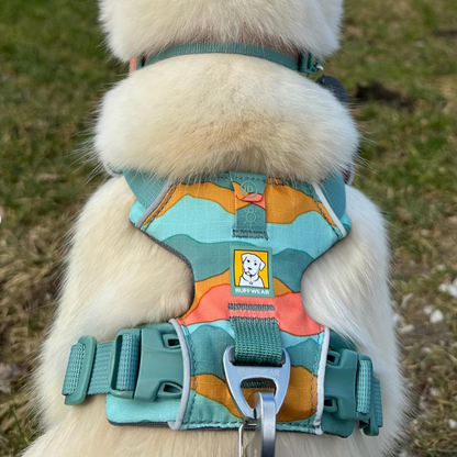 Ruffwear Front Range Arnés - Spring Mountains