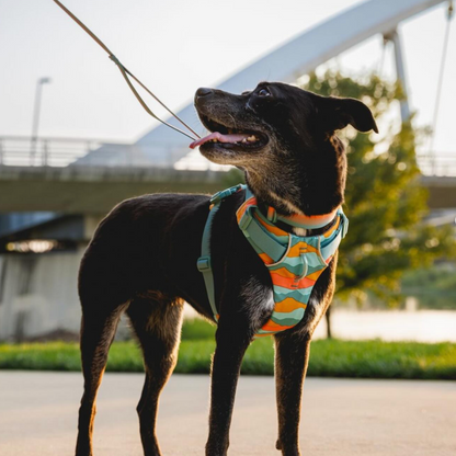 Ruffwear Front Range Arnés - Spring Mountains