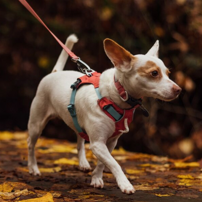 Ruffwear Hi & Light Arnés Salmon Pink