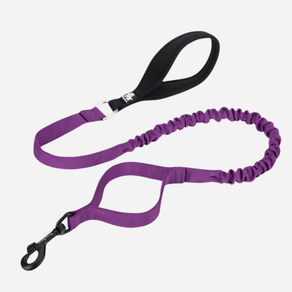 Correa Elástica Purple