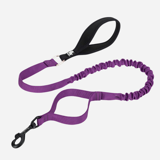 Correa Elástica Purple