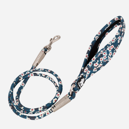 Correa Floral Blue