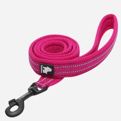 Correa Reflectante Fucsia