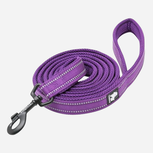 Correa Reflectante Morado