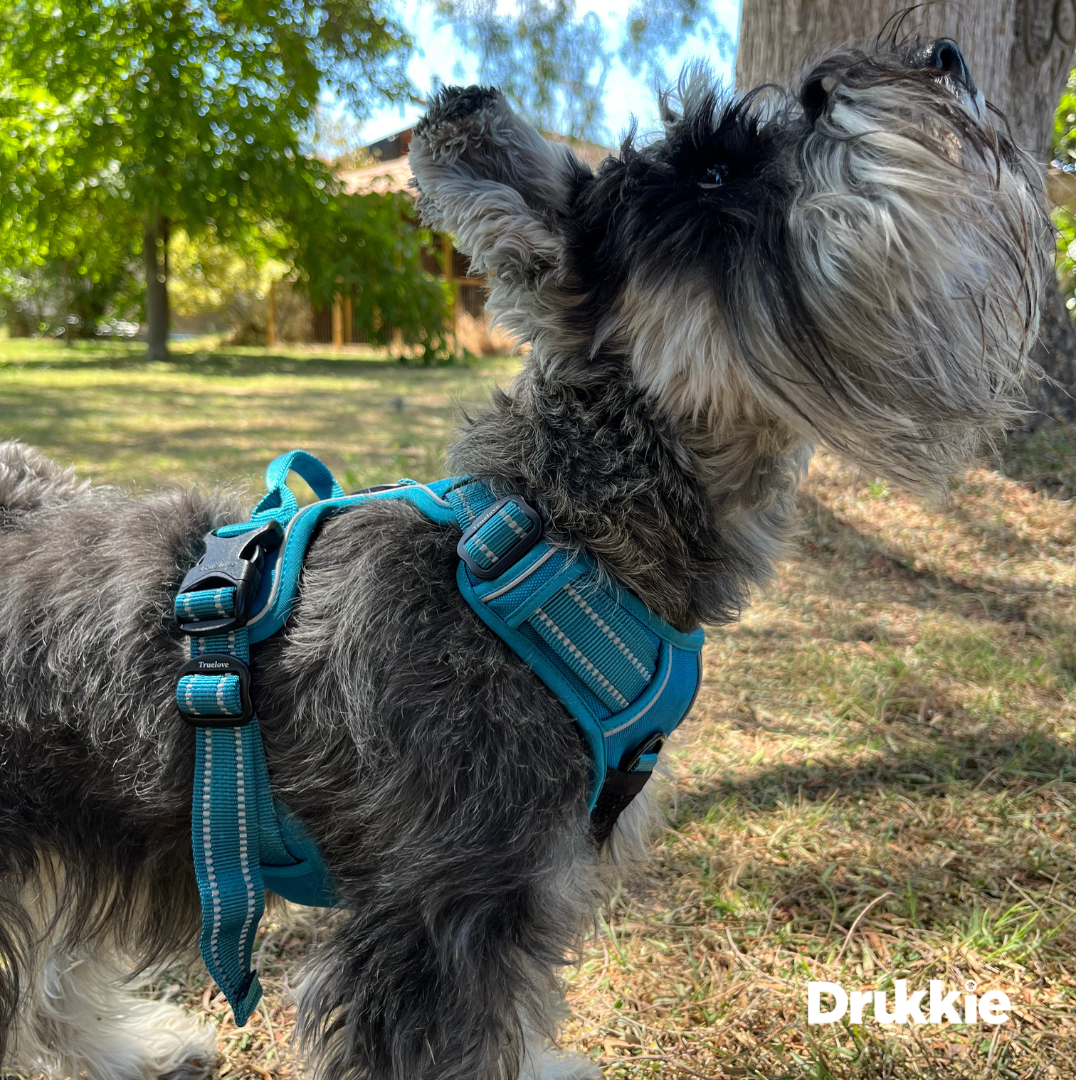 Arnés Anti tirones reflectante Azul