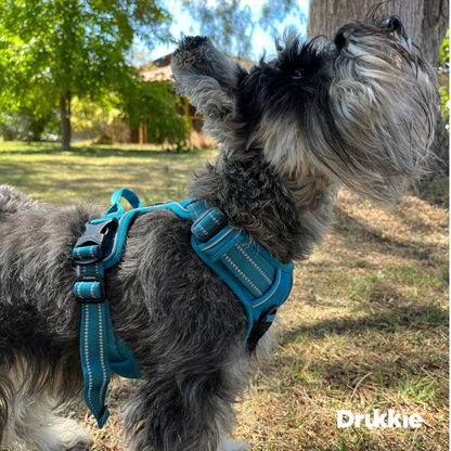 Arnés Anti tirones reflectante Azul
