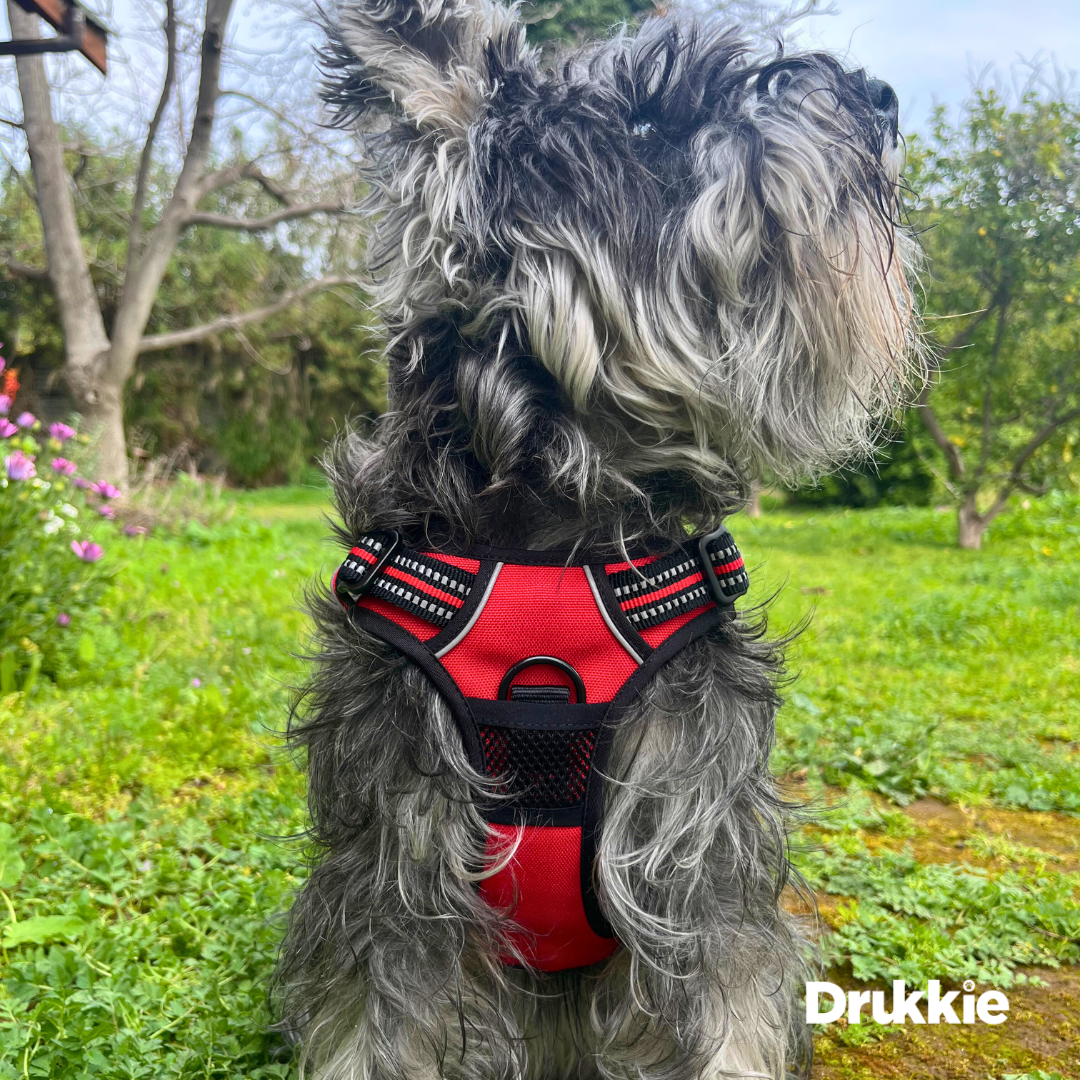 Arnés Anti tirones Reflectante Rojo