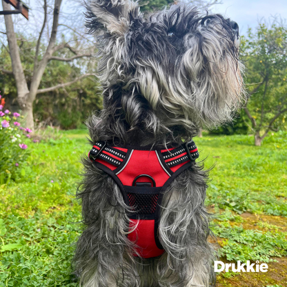 Arnés Anti tirones Reflectante Rojo