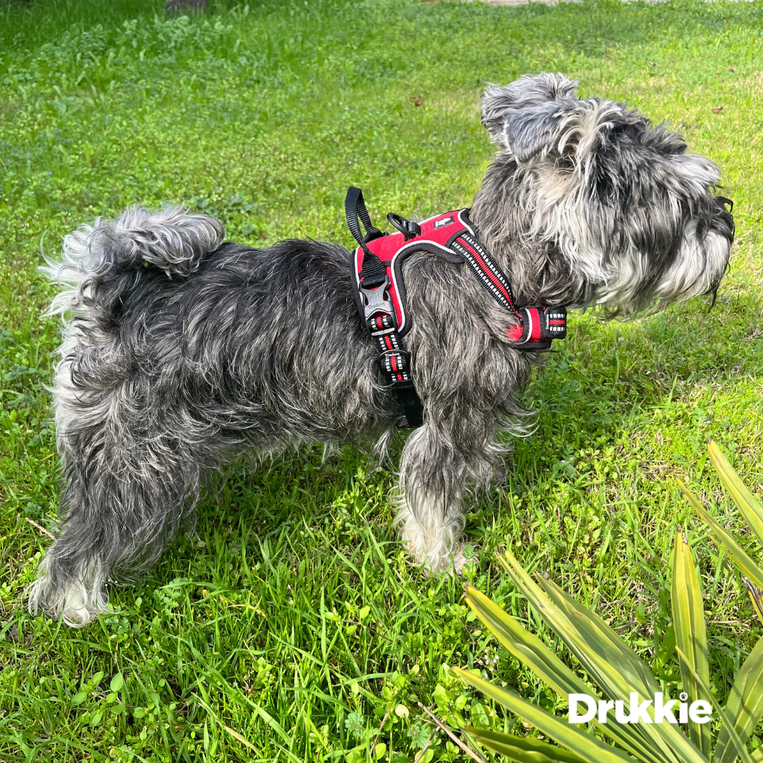 Arnés Anti tirones Reflectante Rojo