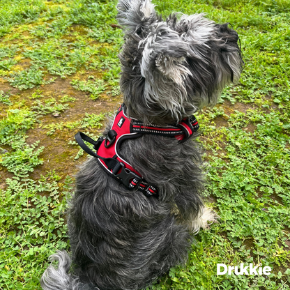 Arnés Anti tirones Reflectante Rojo