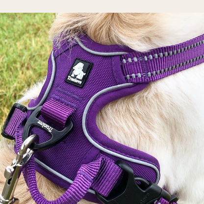 Arnés Anti tirones Reflectante Morado