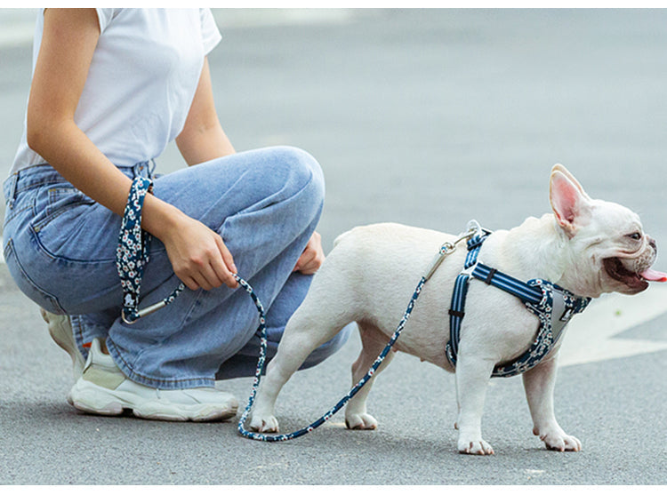 Correa Floral Blue - Drukkie