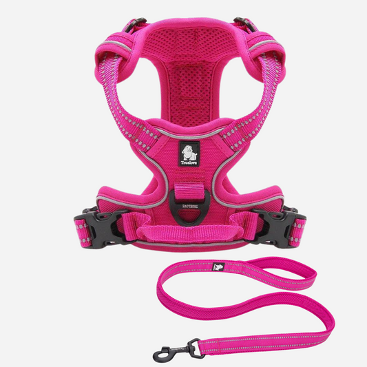 ¡Pack Fucsia! Arnés Anti tirones reflectante + Correa