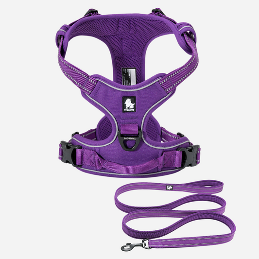 ¡Pack Morado! Arnés Anti tirones Reflectante + Correa